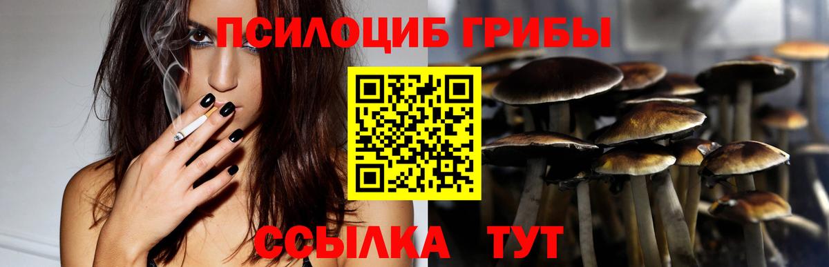 Мелеуз  Псилоцибиновые грибы Magic Shrooms  Вход с VPN 